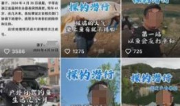 钓鱼爆料视频最新版大全,揭秘钓鱼技巧与实战经验汇总